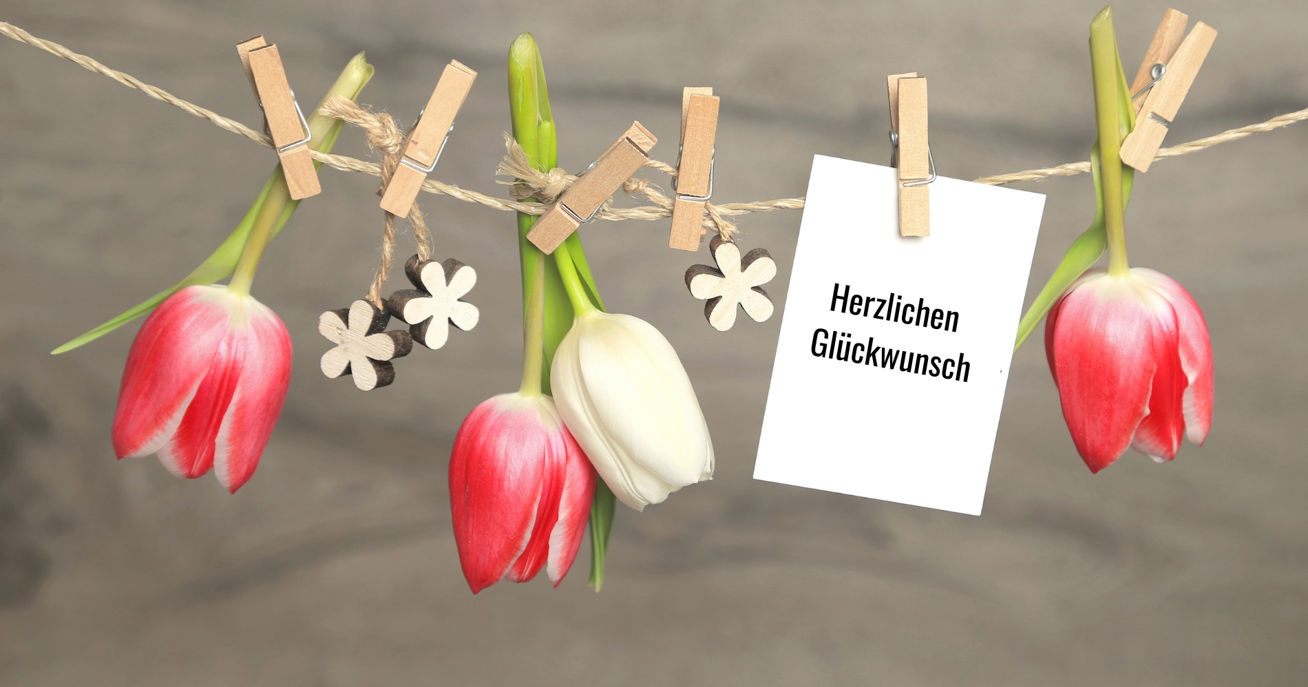Herzlichen Glückwunsch zur tollen Leistung Herzlichen Glückwunsch zur tollen Leistung