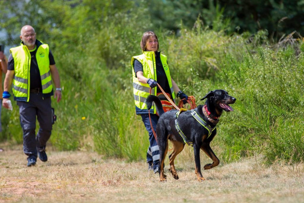 Suchhund-Team im Einsatz