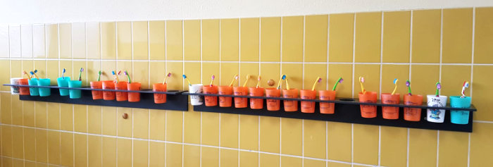 GGS Lissendorf in der JOLEKA Schreinerei GGS Lissendorf in der JOLEKA Schreinerei